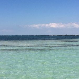 Meet your Posher, Molly